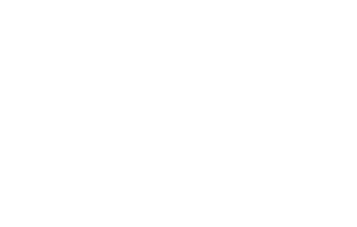 The Concept